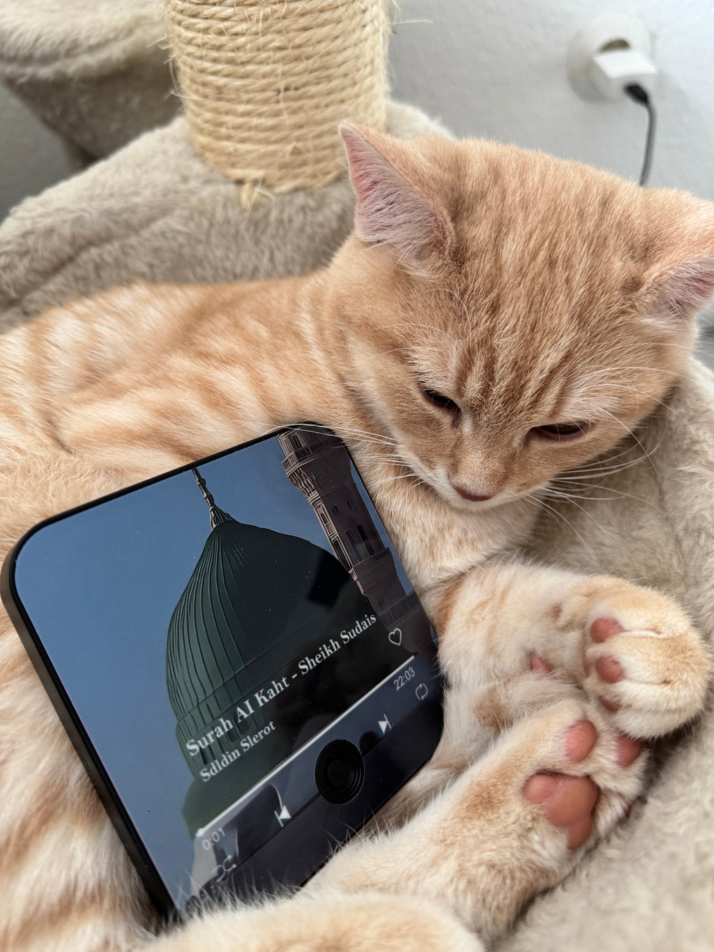 Halalhaus Ameen - Surah al Kahf