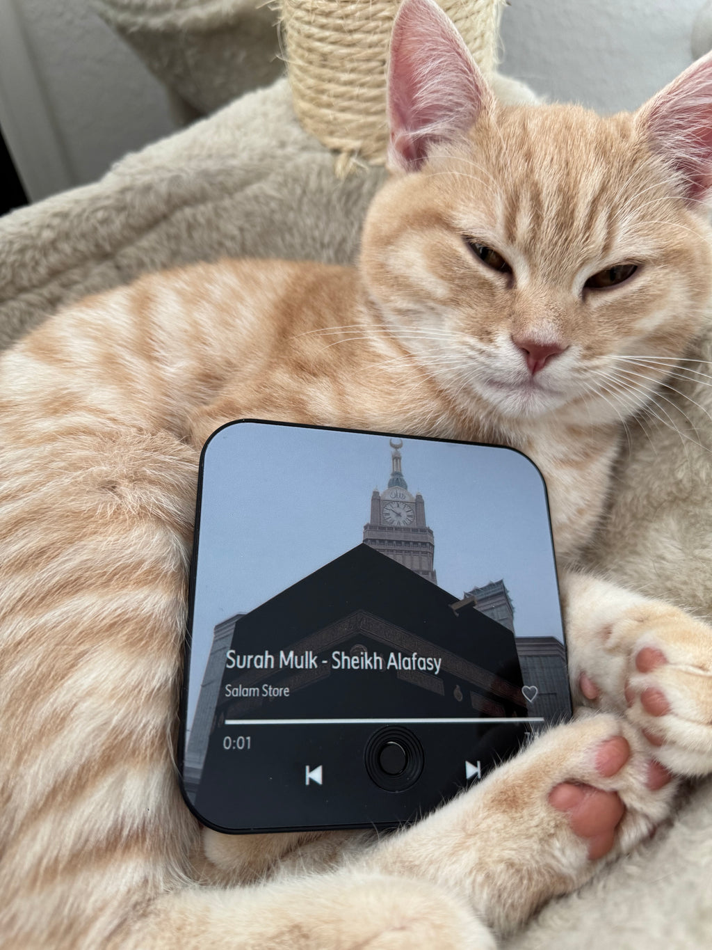 Halalhaus Ameen - Surah al Mulk Edition