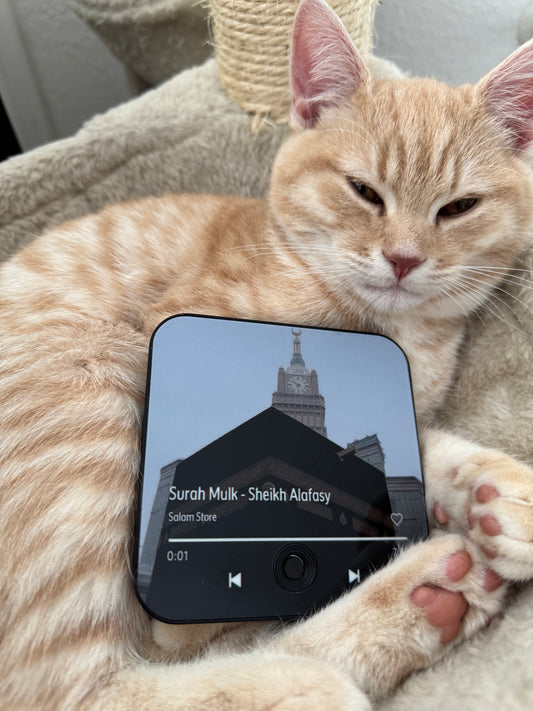 Halalhaus Ameen - Surah al Mulk Edition