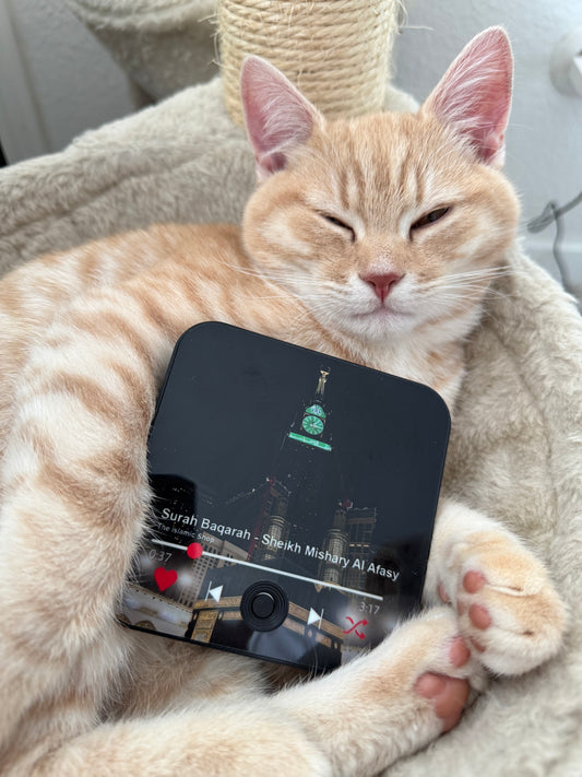 Halalhaus Ameen - Surah Baqarah Edition