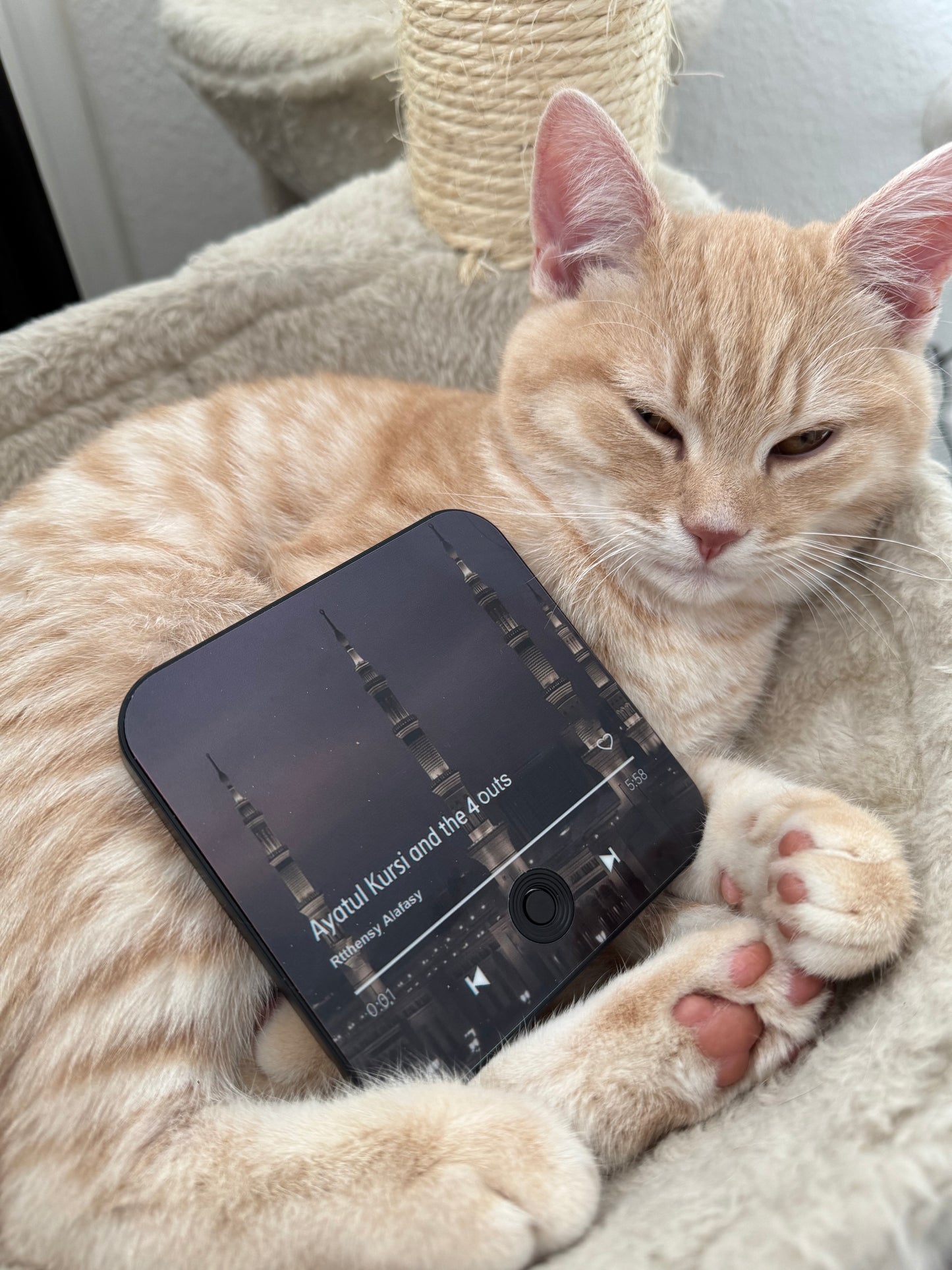 Halalhaus Ameen - Ayatal Kursi Edition