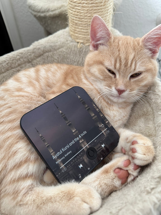 Halalhaus Ameen - Ayatal Kursi Edition